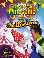 Il Circo di Pinocchio | Limoges Chapiteau Il Circo di Pinocchio  Limoges Affiche