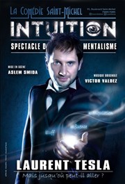 Laurent Tesla dans Intuition La Comdie Saint Michel - grande salle Affiche