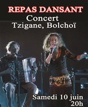 Repas concert tzigane Centre culturel Wladimir d'Ormesson Affiche