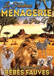 La Fabuleuse Ménagerie du Père Noël Parc des expositions de Caen Affiche