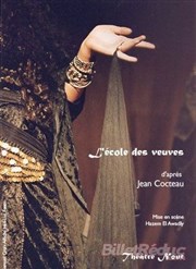 L'Ecole des Veuves Thtre Nout Affiche