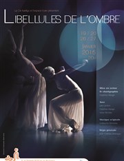 Libellules de l'ombre Espace Icare Affiche