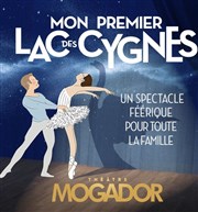 Mon premier Lac des cygnes Thtre Mogador Affiche