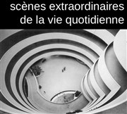 Scènes extraordinaires de la vie quotidienne Thtre de Nesle - grande salle Affiche