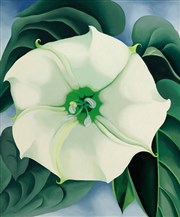 Visite guidée : Rétrospective Georgia O'Keeffe | par Loetitia Mathou Centre Pompidou Affiche