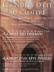 La Nuit des oiseaux Clotre des Billettes Affiche