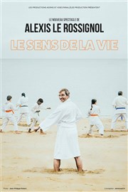 Alexis le Rossignol dans Le sens de la vie L'Ecrin Affiche