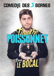 Timothé Poissonnet dans Le Bocal Comdie des 3 Bornes Affiche