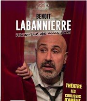 Benoit Labannierre dans J'ai oublié de vous dire... Les Coulisses d'Amlie Affiche