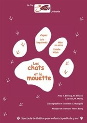 Les chats et la mouette Akton Thtre Affiche