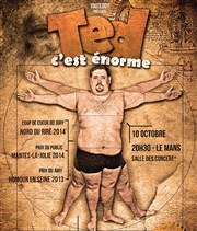 Ted dans C'est énorme Salle des Concerts Affiche