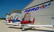 Cours de pilotage : 30 min en Avion Aero95 Affiche