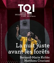 La nuit juste avant les forêts Thtre des Quartiers d'Ivry - La Fabrique Affiche