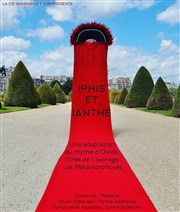 Iphis et Ianthé ABC Thtre Affiche