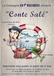 Conte salé Thtre des Prambules Affiche