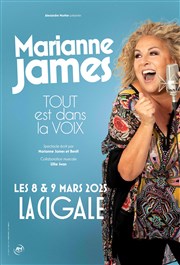 Marianne James dans Tout est dans la voix La Cigale Affiche