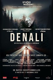 Denali Studio Marigny Affiche