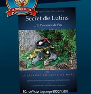 Secret de Lutin... Et Pommes de Pin Thtre Lulu Affiche