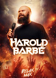 Harold Barbé dans Relax Max Le Pont de Singe Affiche