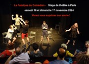 Stage improvisation théâtre week-end novembre Paris La Fabrique du Comdien Affiche