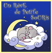 Un rêve de petite souris Thtre du Sphinx Affiche