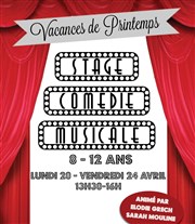 Stage comédie musicale Espace Icare Affiche