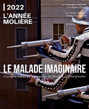 Le Malade Imaginaire Opra de Massy Affiche