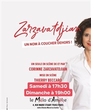 Corinne Zarzavatdjian dans Zarzavatdjian un nom à coucher dehors ! Thtre Le Mlo D'Amlie Affiche