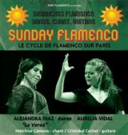 Sunday Flamenco Pniche Antipode Affiche