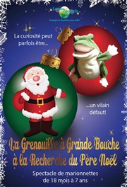 La Grenouille à grande bouche à la recherche du Père Noël Thtre de la Cit Affiche