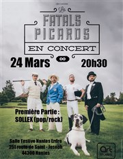 Fatals picards Salle festive Nantes Erdre Affiche