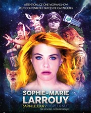 Sophie Marie Larrouy dans Sapin le jour, Ogre la Nuit La Nouvelle Seine Affiche