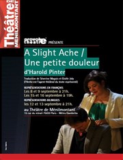 A Slight Ache | Une petite douleur Thtre de Mnilmontant - Salle Guy Rtor Affiche