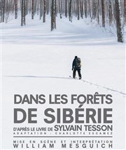 Dans les forêts de Sibérie Thtre Portail Sud Affiche