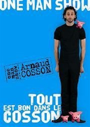 Arnaud Cosson dans Tout est bon dans le Cosson Salle Rameau Affiche