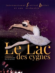 Le lac des cygnes | Strasbourg Znith de Strasbourg - Znith Europe Affiche