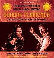 Sunday Flamenco Pniche Antipode Affiche