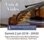 Voix et Violes Eglise Notre Dame des Blancs Manteaux Affiche