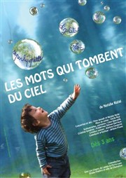 Les mots qui tombent du ciel Thtre Astral-Parc Floral Affiche