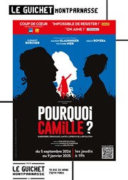 Pourquoi Camille ? Guichet Montparnasse Affiche