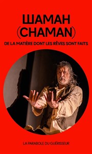 Chaman : De la matière dont les rêves sont faits La Reine Blanche Affiche