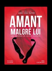 Amant malgré lui Pniche Thtre Story-Boat Affiche