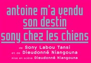 Antoine m'a vendu son destin | Sony chez les chiens Thtre National de la Colline - Petit Thtre Affiche