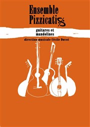 Ensemble Pizzicatis Thtre de l'abbaye Affiche