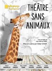 Théâtre sans animaux Kawa Thtre Affiche