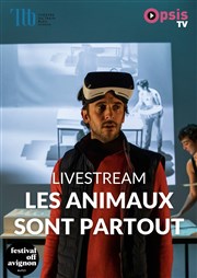 Les animaux sont partout : en Live Streaming Thtre du train Bleu Affiche