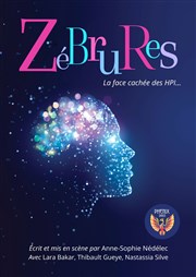 Zébrures Theatre de la rue de Belleville Affiche