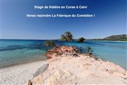 Stage théâtre impro été La Fabrique du Comdien Affiche