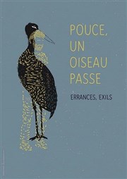 Pouce, un oiseau passe Comdie Nation Affiche