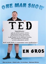 Ted dans En Gros SoGymnase au Thatre du Gymnase Marie Bell Affiche